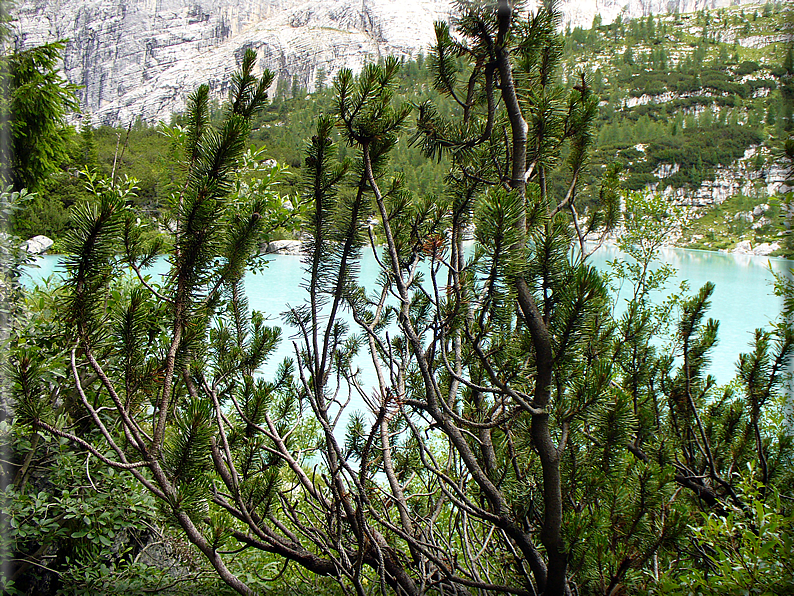 foto Lago di Sorapis